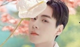 胡许愿个人资料,才华横溢的青年才俊，多领域成就斐然