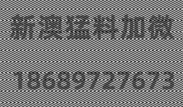 八卦跟什么动物有关