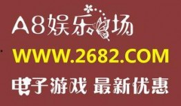 名人2娱乐代理,揭秘明星娱乐产业背后的神秘力量