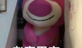 上交肥肉表情包