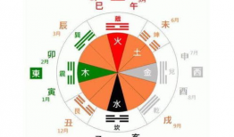 八卦跟什么动物有关