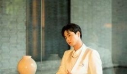 胡许愿个人资料,才华横溢的青年才俊，多领域成就斐然