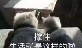 吃瓜娱乐文案搞笑图片,搞笑图片带你领略吃瓜娱乐的魅力