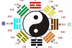 看八卦,八卦背后的真相与秘密