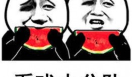 吃瓜表情含义,揭秘网络社交中的“围观”文化