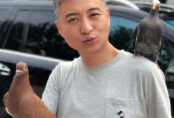 高明婷照片,镜头下的美丽瞬间