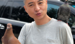 高明婷照片,镜头下的美丽瞬间