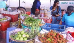 娱乐吃瓜酱柬埔寨骗局