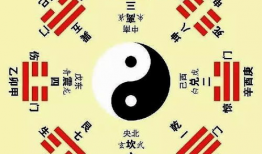 看八卦,八卦背后的真相与秘密