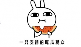 网络中的吃瓜是什么意思,吃瓜群众的趣味与智慧