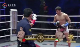 吃瓜娱乐拳击视频大全