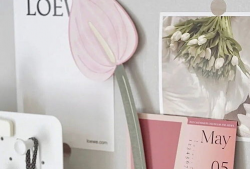 ck生活的家庭背景