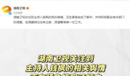 娱乐圈吃瓜文件速取,揭秘明星幕后故事