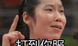 行走表情包郎平